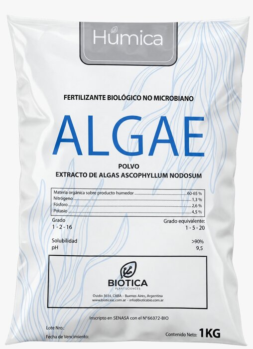 Algae